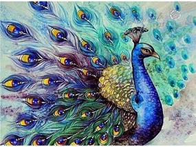 img 4 attached to 🦚 AIRDEA DIY 5D Diamond Painting Kit: Stunning Peacock Opening Crystal Drill Rhinestone Embroidery – Perfect Arts and Craft Canvas Wall Decor (11.8x15.8 inch)