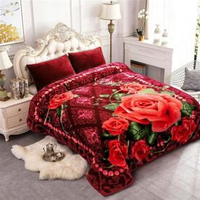 img 4 attached to 🛏️ JYK Korean Faux Mink Fleece Blanket Queen - Silky Soft Plush Warm Blanket for Autumn & Winter - Rose/Notre Dame Design
