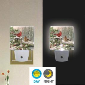 img 3 attached to 🐦 Winter Cardinal Birds Night Light Set of 2 - Holly Berry Branches Snow LED Nightlights for Christmas Decor, Auto Dusk-to-Dawn Sensor, Perfect for Bedroom, Bathroom, Kitchen, Hallway, Stairs