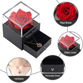img 1 attached to 🌹 Vanleonet Preserved Real Rose Gift Set: Heart Necklace Expressing 'I Love You' in 100 Languages, Handmade Eternal Rose for Valentine's Day, Weddings, Anniversaries, Birthdays - Perfect Gifts for Her Women