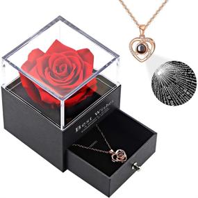 img 4 attached to 🌹 Vanleonet Preserved Real Rose Gift Set: Heart Necklace Expressing 'I Love You' in 100 Languages, Handmade Eternal Rose for Valentine's Day, Weddings, Anniversaries, Birthdays - Perfect Gifts for Her Women