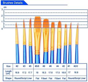 img 2 attached to AOOK 10-Piece Watercolor Paint 🖌️ Brush Set for Professional Artists (1-Pack)