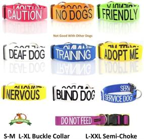 img 2 attached to 🐶 Dexil Limited Purple Color Coded Buckle Dog Collars for S-M L-XL Dogs (May Have Allergies): Prevent Accidents & Warn Others in Advance