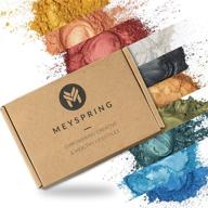 🌈 mica powder for epoxy resin: meyspring two tone collection - 100g pigment powder set - vibrant epoxy resin color pigments logo