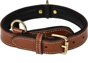 img 2 attached to 🐶 Introducing the CUTOPET Genuine Leather Collar: Soft Padding, Breathable, Handmade for Active Medium & Large Dogs