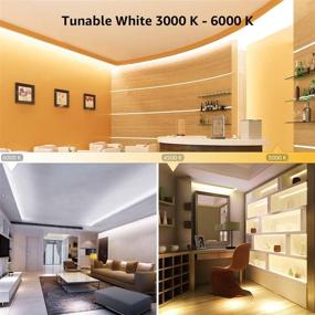 img 1 attached to 🔌 Lepro LED Strip Light, 3000K-6000K Tunable White, 16.4ft Dimmable Bright LED Tape Lights, 300 LEDs 2835, Strong 3M Adhesive, Ideal for Home, Kitchen, Under Cabinet, Bedroom - Enhanced SEO