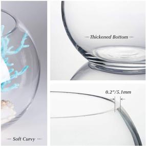 img 2 attached to 🌿 WGV Bowl Glass Vase: Elegant Clear Bubble Planter Terrarium Fish Bowl for Wedding, Home Decor - Multiple Sizes Available (VBW0008A)