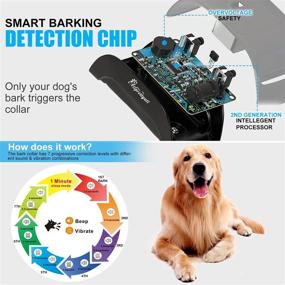 img 2 attached to 🐶 Allprettyall No Shock Bark Collar 2 Pack - Humane Dog Barking Collar with 7 Sensitivity Vibration & Beep Modes - Automatic Action for Small to Large Dogs, No False Triggers - Enhance Your SEO