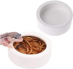 img 4 attached to 🦎 2 Pack Reptile Food Bowl and Mini Ceramic Water Feeder, Dish for Reptile Worm Feeding - Suitable for Lizard, Turtle, Bearded Dragon, Anoles, Crested Gecko, Hermit Crab, Leopard Gecko, Chameleon, and Corn Snake