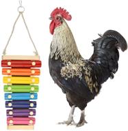 🐔 gabraden chicken xylophone toy - suspensible wooden toy for hens with 8 metal keys - enrichment pecking toy for chicken coop logo