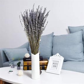 img 1 attached to Organic 100% Natural Dried Lavender Flowers Bunches - 270-300 Stems for Home Decoration, Fragrance, Handmade Soap Flower