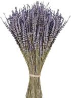 organic 100% natural dried lavender flowers bunches - 270-300 stems for home decoration, fragrance, handmade soap flower logo