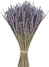 img 4 attached to Organic 100% Natural Dried Lavender Flowers Bunches - 270-300 Stems for Home Decoration, Fragrance, Handmade Soap Flower