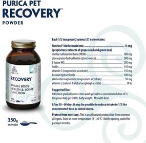 img 3 attached to 💪 Biomedica Labs Recovery SA Powder: Advanced 350 g Formula for Optimal Recovery