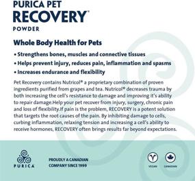 img 1 attached to 💪 Biomedica Labs Recovery SA Powder: Advanced 350 g Formula for Optimal Recovery