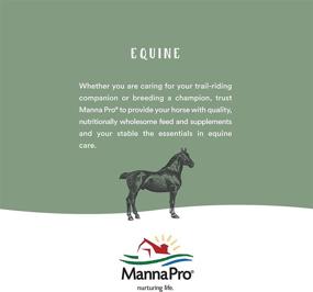 img 1 attached to Manna Pro Corona Detangler & Shine Conditioner for Horse, 32 oz - The Ultimate Haircare Solution for Your Equine Companion