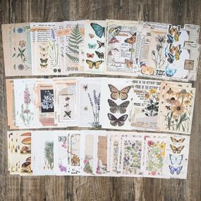 Deco Sticker & Paper Set - Nature - 200 pièces - Bullet Journal