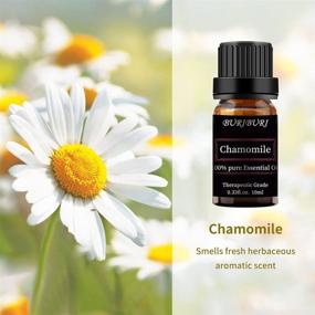 img 3 attached to 🌼 Pure Organic Chamomile Essential Oil - 100% Natural Aromatherapy Oils, Undiluted, 10ML