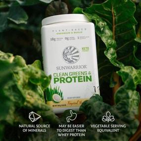 img 1 attached to 🌱 Sunwarrior Clean Greens & Protein: Organic Superfood Powder with No Added Sugar, Non-GMO, Soy Free, Gluten Free, Dairy Free, Keto Friendly (750 Gram)