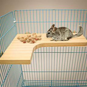 img 1 attached to Versatile Small Pet Pedal Platform and Round Standing Boards: Ideal Gerbil, Chinchilla, Dwarf Hamster, and Squirrel Cage Accessories - Set of 3 Natural Wooden Pieces