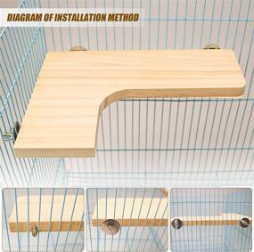 img 2 attached to Versatile Small Pet Pedal Platform and Round Standing Boards: Ideal Gerbil, Chinchilla, Dwarf Hamster, and Squirrel Cage Accessories - Set of 3 Natural Wooden Pieces