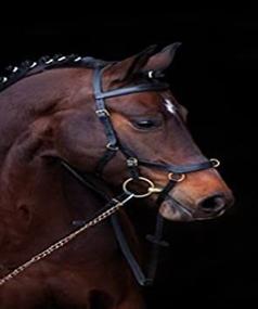 img 2 attached to Enhance Riding Performance with Horseware Ireland Rambo Micklem Comp Bridle/Rein Black Standard Horse