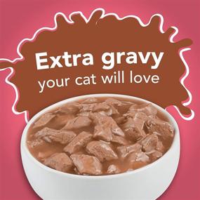 img 1 attached to Purina Friskies Extra Gravy Wet Cat Food - Salmon in Savory Gravy, Chunky - 5.5 oz. (24) Cans