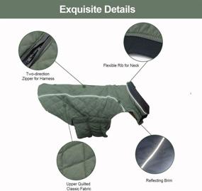 img 2 attached to 🐶 Winter Dog Coats by BALYLAS – Windproof Dog Apparel for Cold Weather; Thick Outdoor Jackets for Small, Medium, and Large Dogs