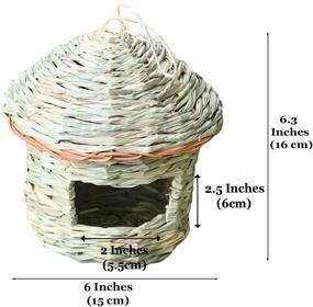 img 1 attached to 🐦 Social Distance Bird Hut by Meric: Enhancing Backyard Bird Variety, Pet Snake-Friendly, Ideal for Snake Charmers – 1 Piece Pack