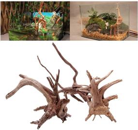 img 2 attached to 🌴 Hamiledyi Natural Driftwood for Aquarium Reptiles - Decorative Wood Branches for Fish Tank - 3 PCS