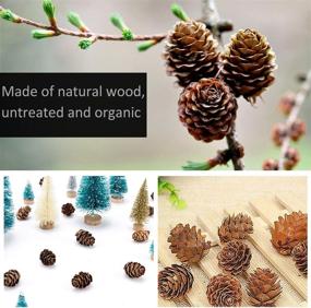 img 3 attached to 🍂 200pcs Apipi Thanksgiving Rustic Mini Brown Pine Cones Bulk Pack - Natural Christmas Ornaments & Crafts for Home Decoration