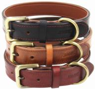 moonpet soft padded genuine leather dog collar - premium full grain & heavy duty - durable, adjustable for small, medium, large & x-large male & female dogs - ideal for walking, running, training logo