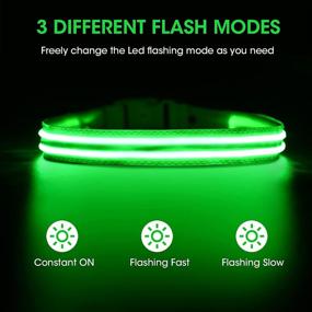 img 2 attached to 🐶 Rechargeable Waterproof LED Dog Collar - Super Bright Flashing Collar for Your Puppy's Safety & Visibility - Basic Dog Collar in 4 Sizes with 6 Color Options