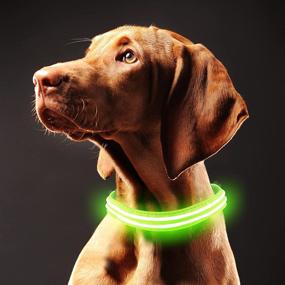 img 4 attached to 🐶 Rechargeable Waterproof LED Dog Collar - Super Bright Flashing Collar for Your Puppy's Safety & Visibility - Basic Dog Collar in 4 Sizes with 6 Color Options