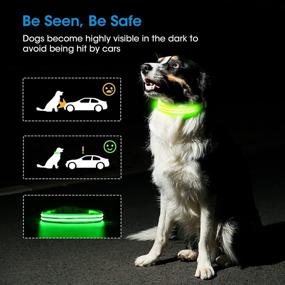 img 3 attached to 🐶 Rechargeable Waterproof LED Dog Collar - Super Bright Flashing Collar for Your Puppy's Safety & Visibility - Basic Dog Collar in 4 Sizes with 6 Color Options