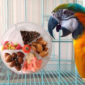 img 3 attached to 🐦 Bird Foraging Fun: Seed Food Ball Rotate Wheel for Parrots, Parakeets, Cockatiels, Conures & More!