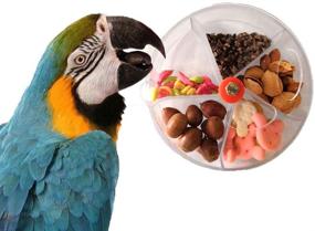 img 2 attached to 🐦 Bird Foraging Fun: Seed Food Ball Rotate Wheel for Parrots, Parakeets, Cockatiels, Conures & More!