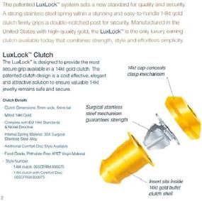 img 2 attached to LuxLock Patented Replacement Earring Sterling