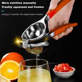 img 2 attached to 🍋 Premium Stainless Steel Manual Lemon Squeezer - Heavy Duty Metal Orange & Lemon Juicer - Simple Fruit Citrus Press - Red