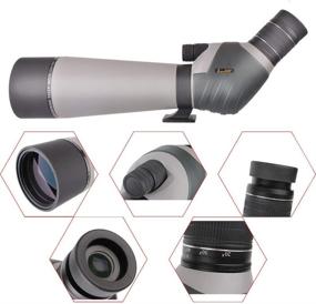 img 3 attached to 🔭 High Definition 20-60x80 Spotting Scope with Dual Focusing Zoom for Hunting, Archery, Bird Watching – Waterproof, BAK4 Fully Multi Coated, 45 Degree Angled Eyepiece – Includes Smartphone Adapter