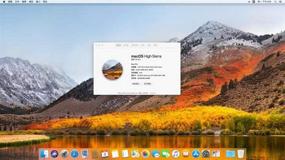 img 2 attached to 🍏 macOS High Sierra 10.13.6 Bootable USB Flash Drive: Full OS Recovery, Upgrade, Reinstall & System Install - 16GB, Green