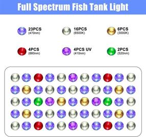 img 1 attached to 🐠 Enhance Your Aquatic Environment with Phlizon 165W Dimmable Full Spectrum Aquarium LED Light: Ideal for Saltwater & Freshwater Fish, Coral Reefs, and Tank Decoration