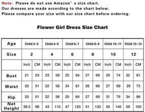 img 1 attached to 👗 Elegant Lace Pageant Ball Gowns for Wedding - ABAO SISTER Sleeveless Flower Girl Dress for Kids