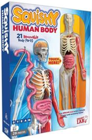 img 4 attached to SmartLab Toys Squishy Human Body Anatomy Kit