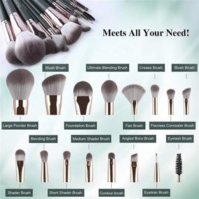 img 2 attached to 💚 Complete Green Premium Synthetic Makeup Brush Set, Daubigny 16Pcs Professional Brushes for Foundation, Powder, Concealers, Eye shadows, and Blush - Ideal for Perfect Makeup