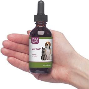 img 2 attached to 🐾 PetAlive Eye-Heal - Natural Herbal Formula for Optimal Eye Health in Cats and Dogs - Gentle Eye Soother and Cleanser - Supports Debris Removal - Easy Application with Cotton Swab - 59 mL