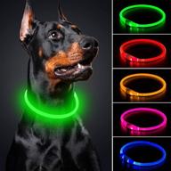 bseen led dog collar - waterproof light up collar for dogs, usb rechargeable pet necklace loop, ideal for small, medium, large dogs (neon green) logo