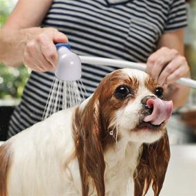 img 3 attached to 🐶 Danco Dog Bathing Tool Rinser: Easy Spray Indoor-Outdoor Portable Handheld Sink Sprayer for Baby Bather, Hair Washer Hose System 10856 and Kitchen Faucet Attachment