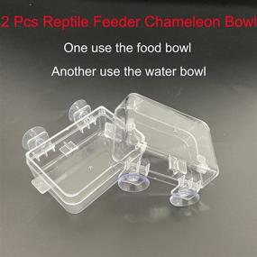 img 3 attached to 🦎 Tfwadmx 2 Pcs Chameleon Bowl: Quality Reptile Feeding Food and Water Dish for Lizard, Bearded Dragon, and Snakes - Anti-Escape, Gecko Worm Feeder Included!