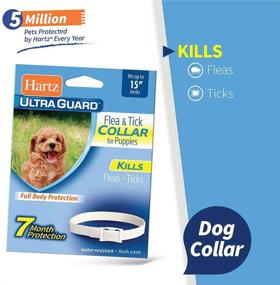 img 3 attached to 🐶 Hartz UltraGuard Flea & Tick Collar for Dogs and Puppies -- 7 Months Protection, White, Up to 15-Inch Neck Size